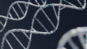 Prueba pericial médica y del perfil genético